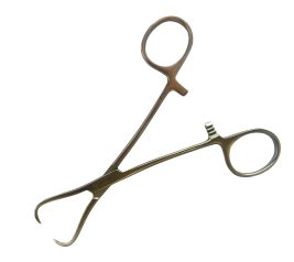 AA 751/13	Kẹp khăn phẫu thuật Backhaus 13cm