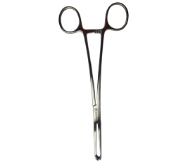 Kẹp phẫu thuật Allis, kích thước 5x6, dài 19 cm	KD 055/19